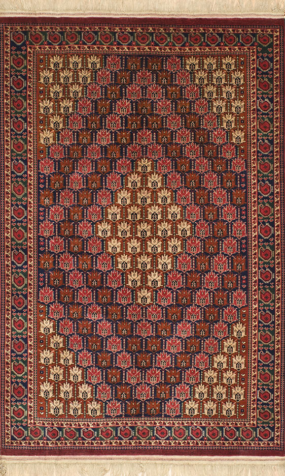 bokhara5,5M�24