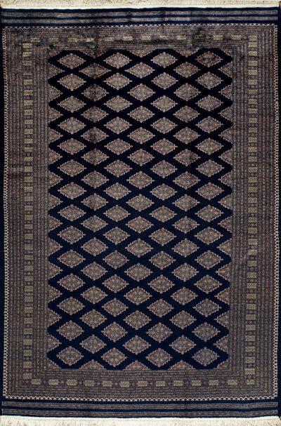 pak w-s10/20 /5,5M/24