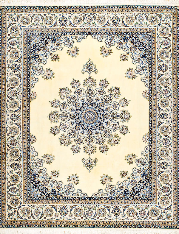 habib5,5M/029