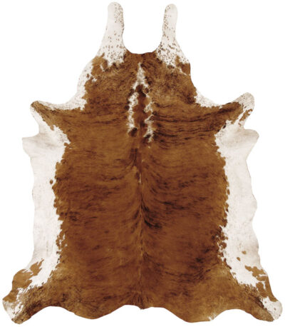 Cow 2